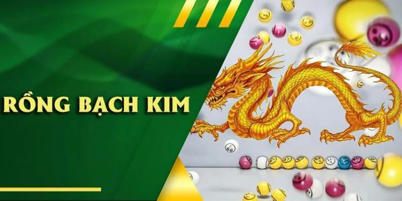 Rồng bạch kim